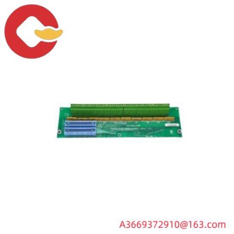 General Electric DS200TBCBG1AAA: Advanced RTD Input Terminal Board