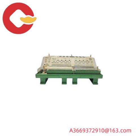 WOODWARD 9905-973 Custom Processing Module