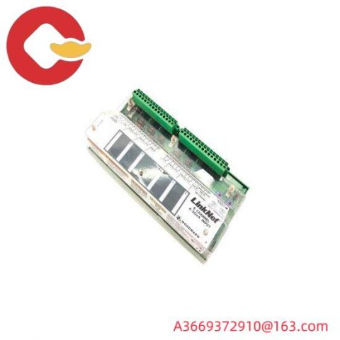 Woodward 9905-969: Analog Input Module for Industrial Control Systems